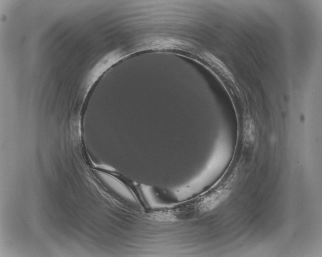 X0000067871226200604171216