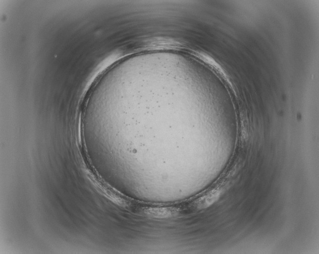 X0000067871227200604171216