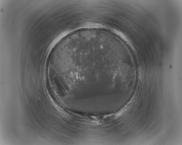 X0000067871229200604171216