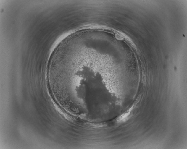 X0000067871231200604171216