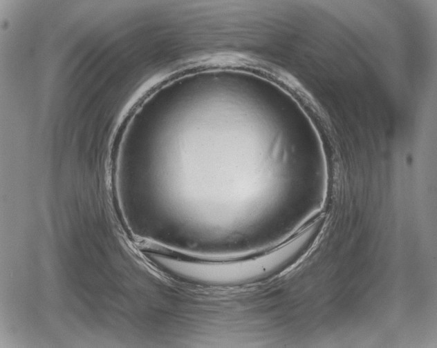 X0000067871232200604171216