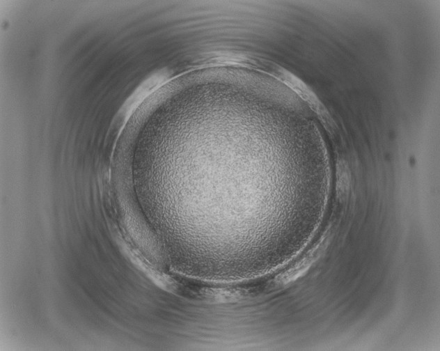 X0000067871234200604171216