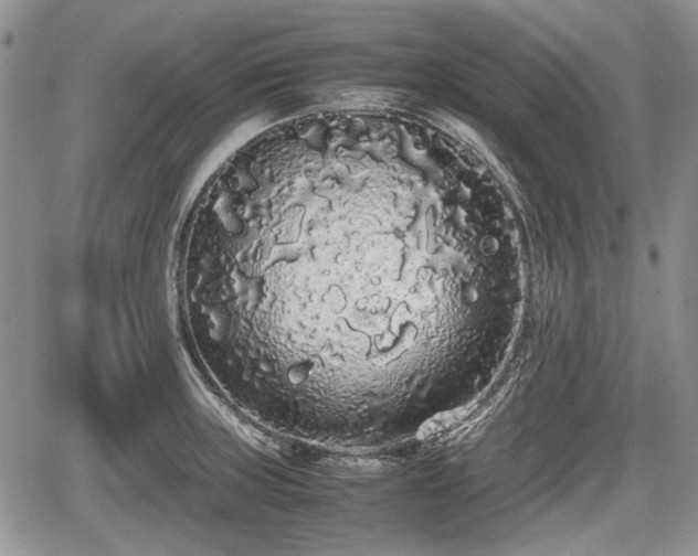 X0000067871235200604171216