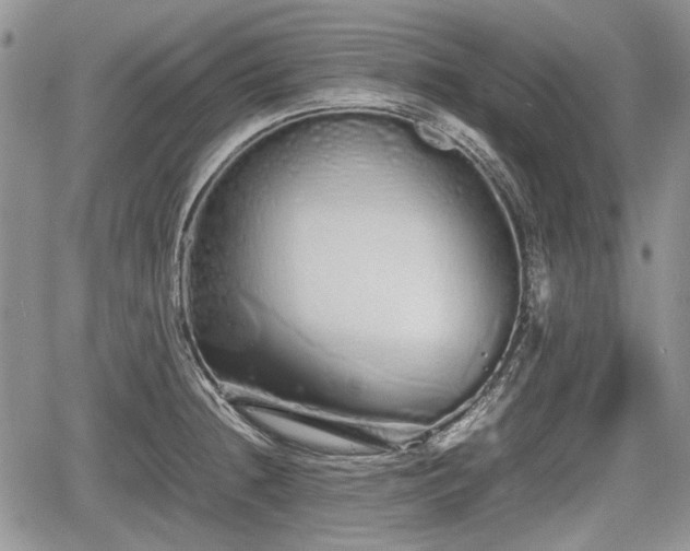 X0000067871236200604171216