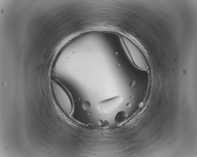 X0000067871238200604171216