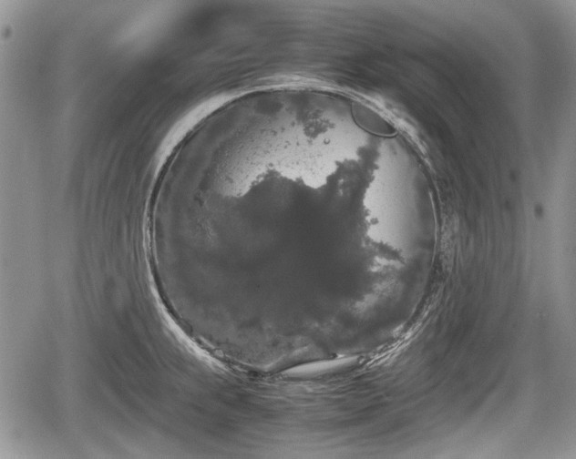 X0000067871239200604171216