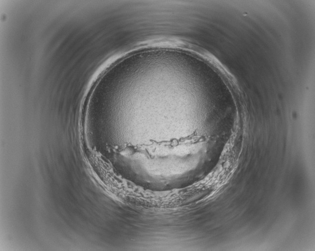 X0000067871240200604171216