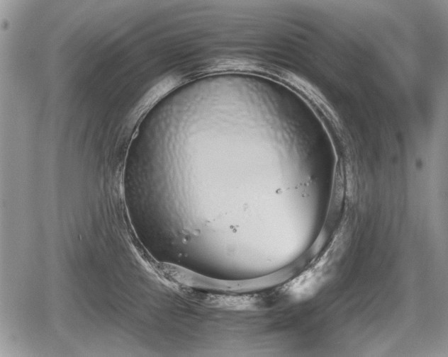 X0000067871241200604171216