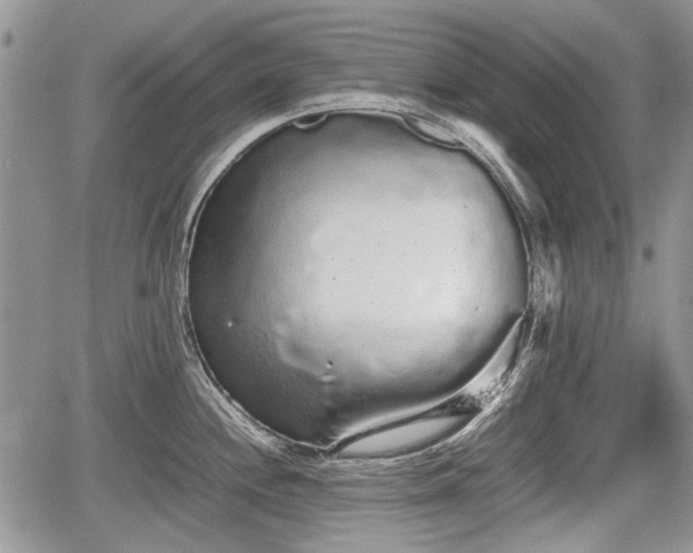 X0000067871244200604171216