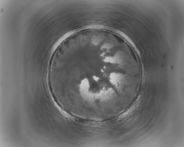 X0000067871245200604171216