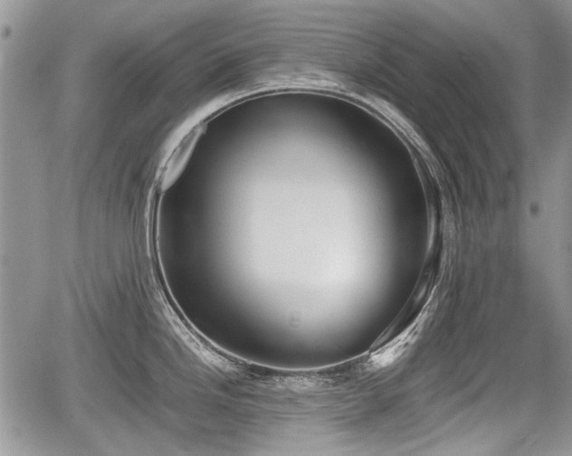 X0000067871246200604171216