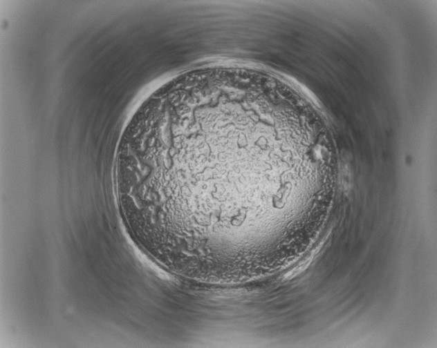 X0000067871247200604171216