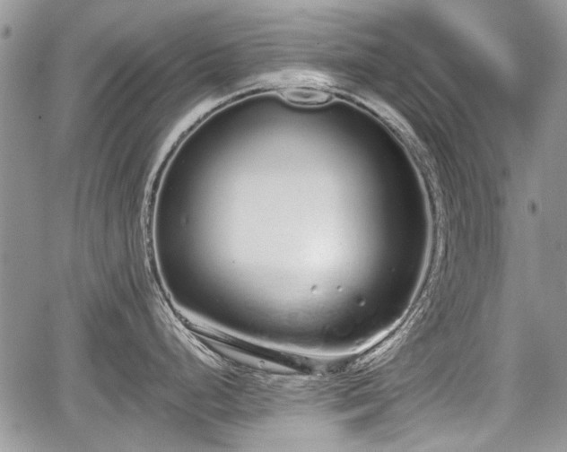 X0000067871248200604171216