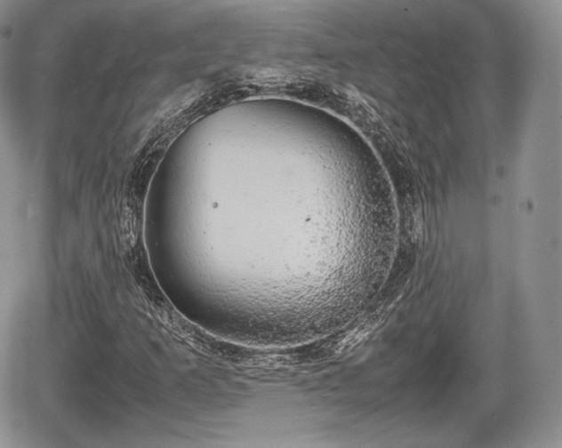 X0000067871253200604171215