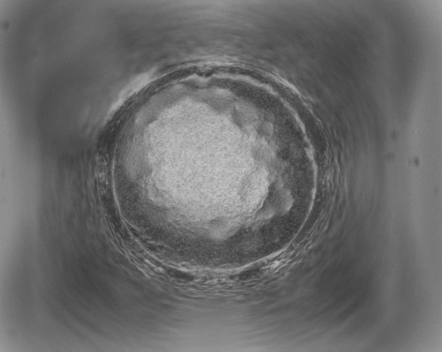 X0000067871255200604171215