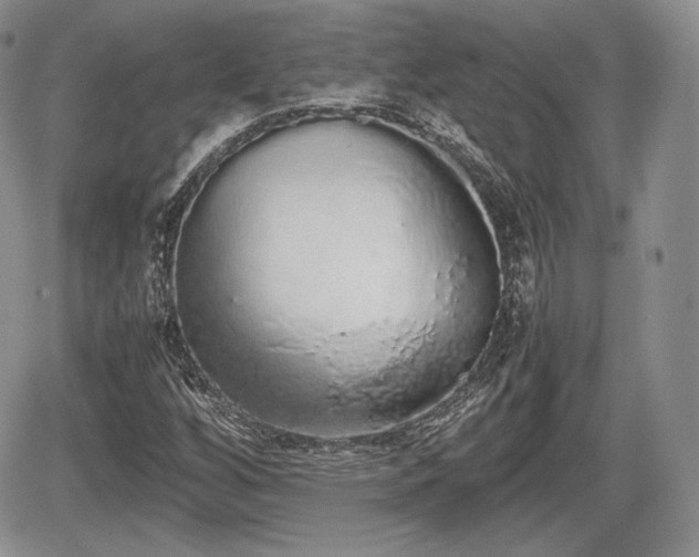 X0000067871256200604171215