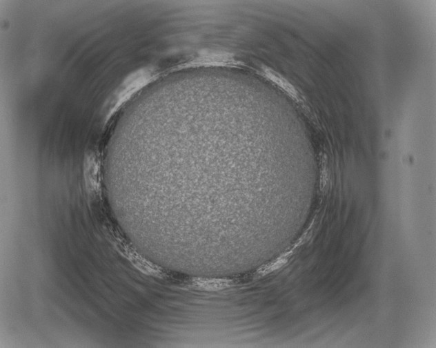 X0000067871258200604171215