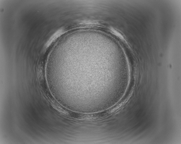 X0000067871259200604171215