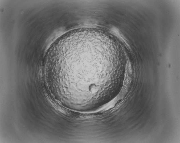 X0000067871260200604171215