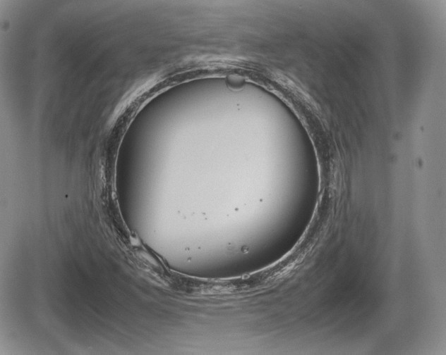 X0000067871261200604171215