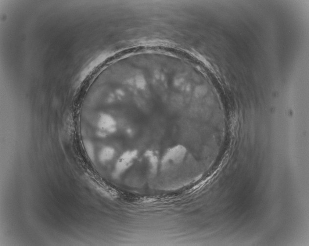 X0000067871263200604171215