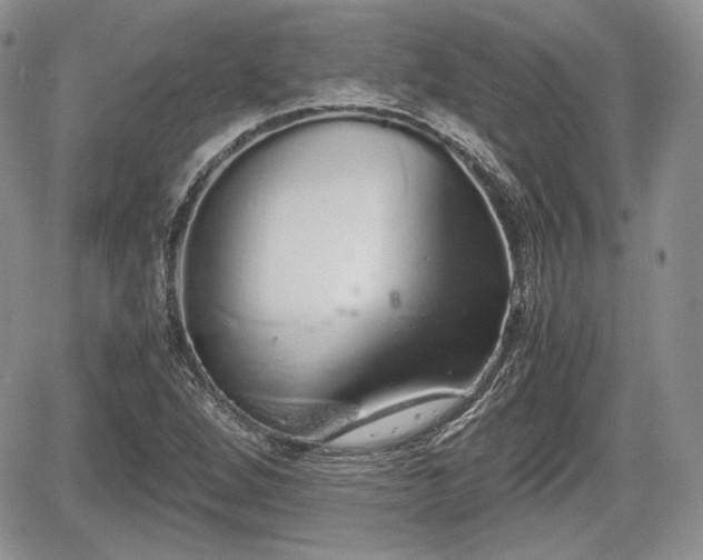 X0000067871264200604171215