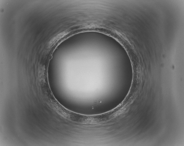 X0000067871265200604171215