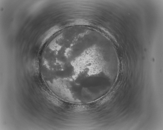 X0000067871266200604171215