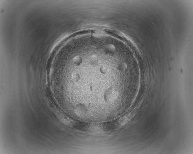 X0000067871267200604171215