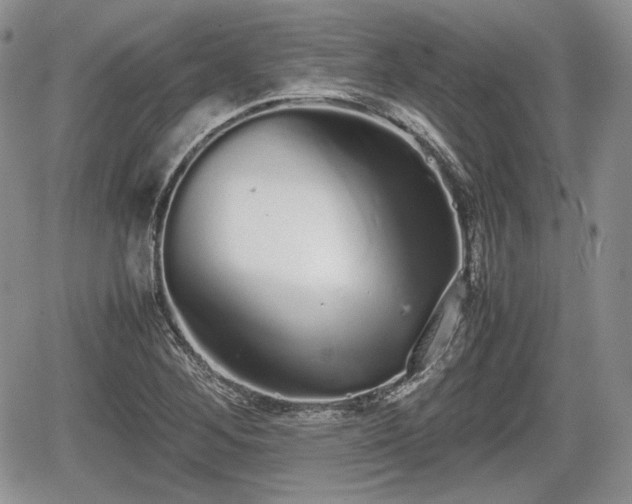 X0000067871268200604171215