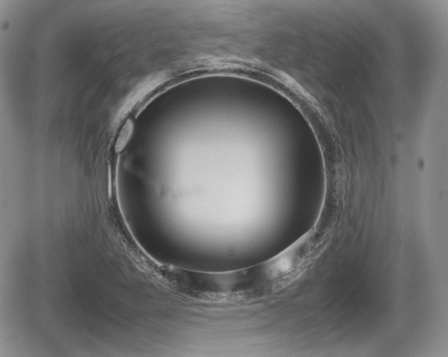 X0000067871269200604171215