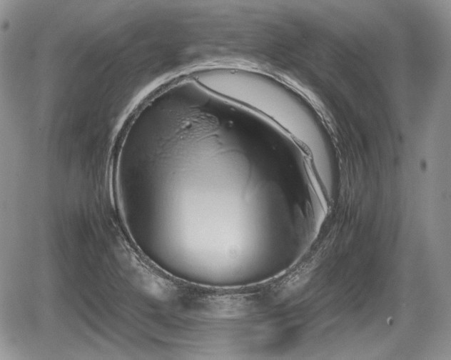 X0000067871272200604171215