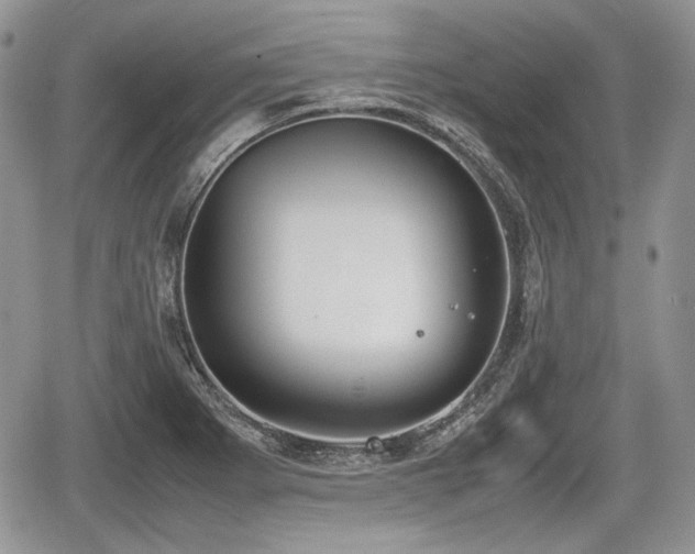 X0000067871273200604171215