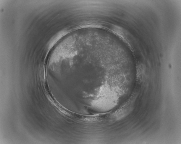 X0000067871274200604171215