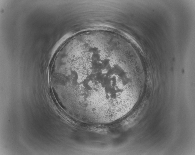 X0000067871275200604171215