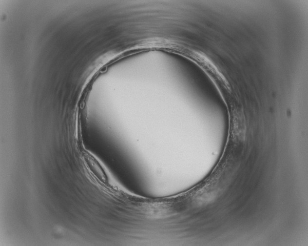 X0000067871276200604171215