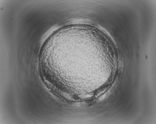 X0000067871277200604171215