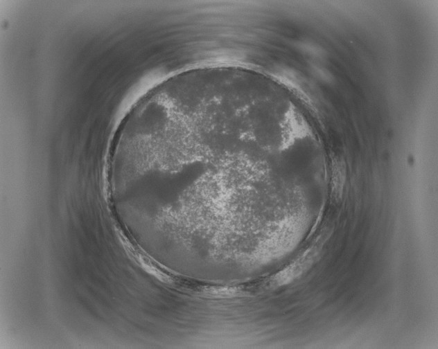 X0000067871278200604171215