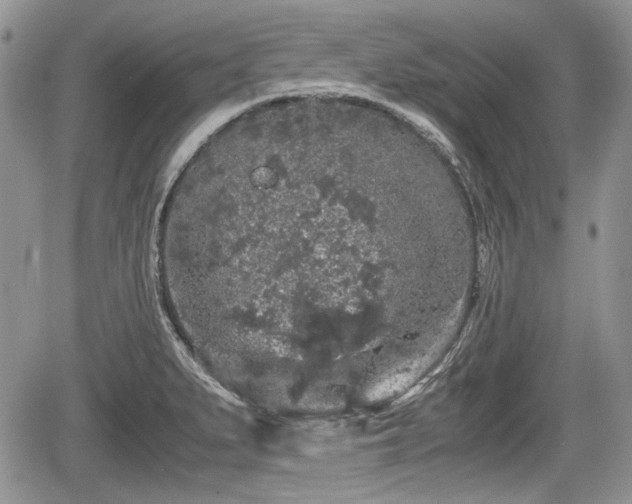 X0000067871279200604171215