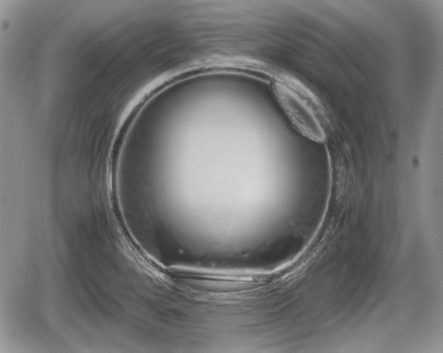 X0000067871280200604171215