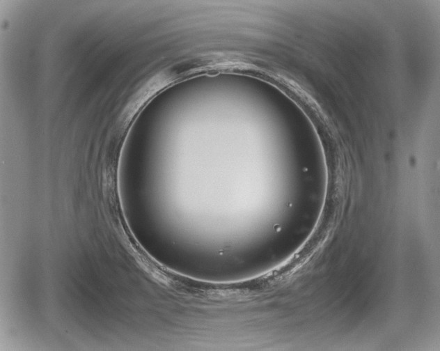 X0000067871281200604171215