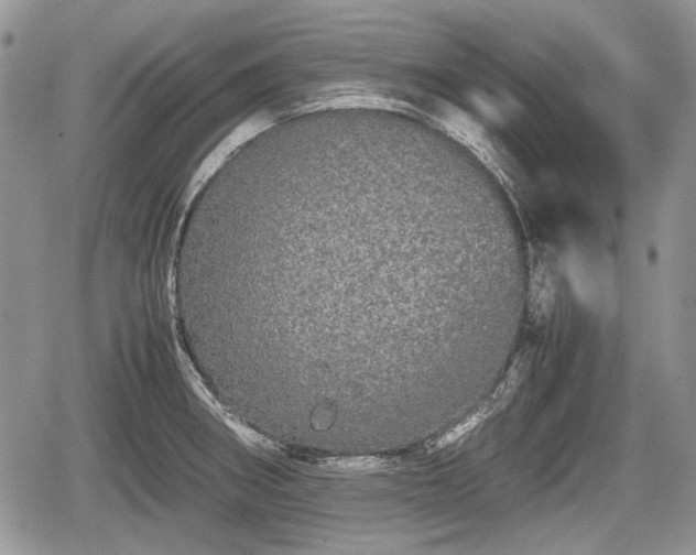 X0000067871282200604171215