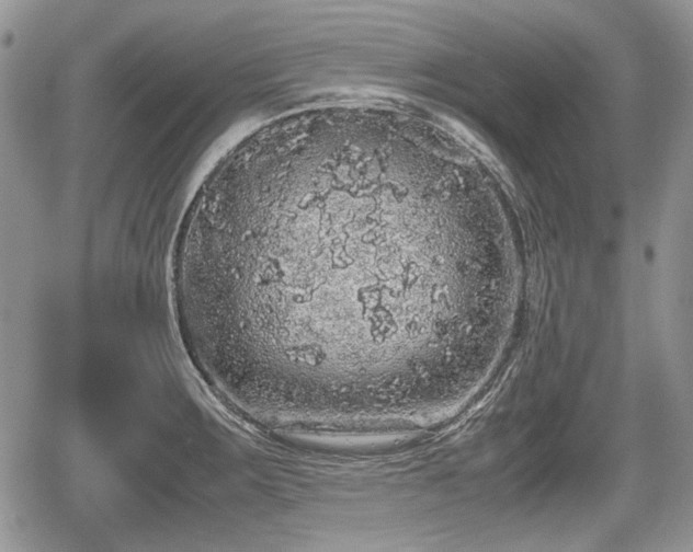 X0000067871283200604171215