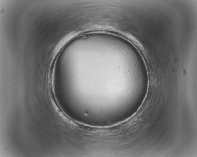 X0000067871287200604171215