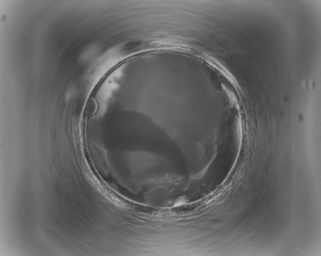 X0000067871291200604171215