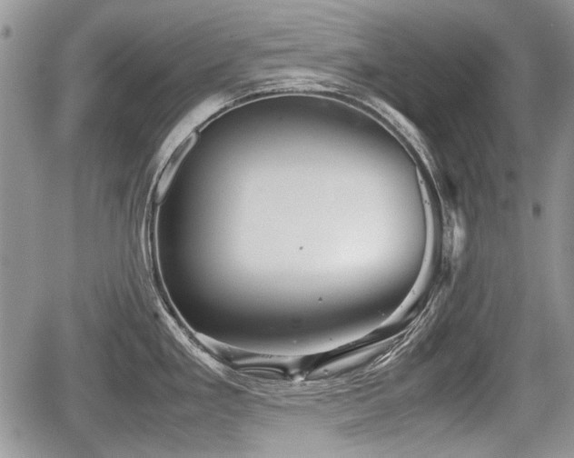 X0000067871293200604171215