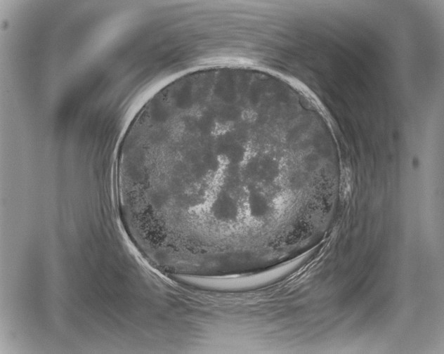 X0000067871295200604171215