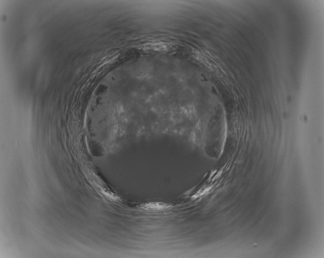 X0000067871297200604171214