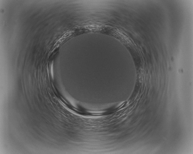 X0000067871298200604171214