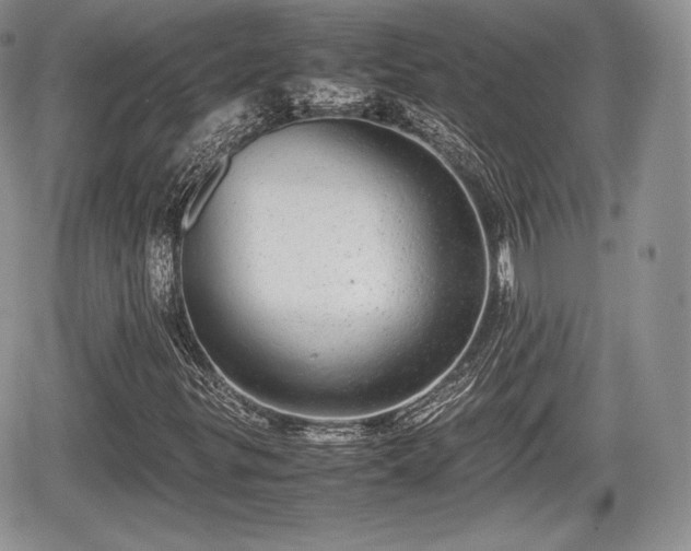 X0000067871299200604171214